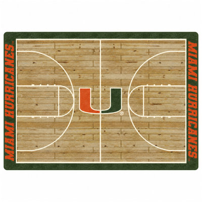 Indoor Rug