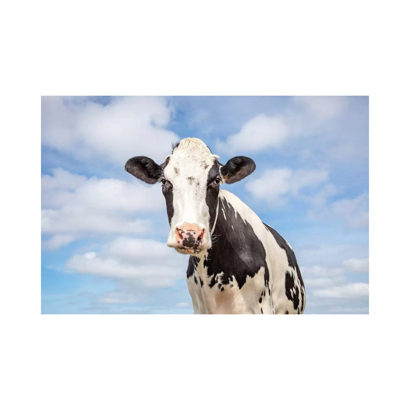 Sweet Cow by Clara Bastian - Print on Canvas, 45.72cm H x 66.04cm W x 3.81cm D, Wrapped Canvas