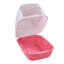 PP Litter Box