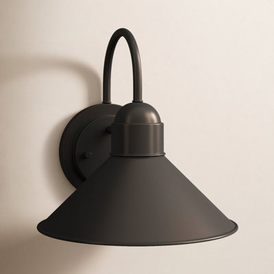 Meagan Outdoor Barn Light