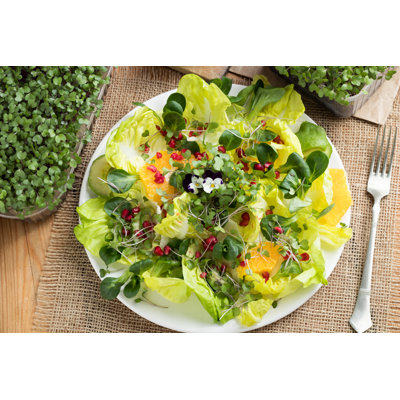Vegetable Salad - Wrapped Canvas Print