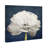 Barroso " Floral And Botanical Pretty View, Modern & Contemporary White " by Oliver Gal-66597806-68885404-119888214