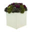 Assorted Sedum in Fiberstone Pot