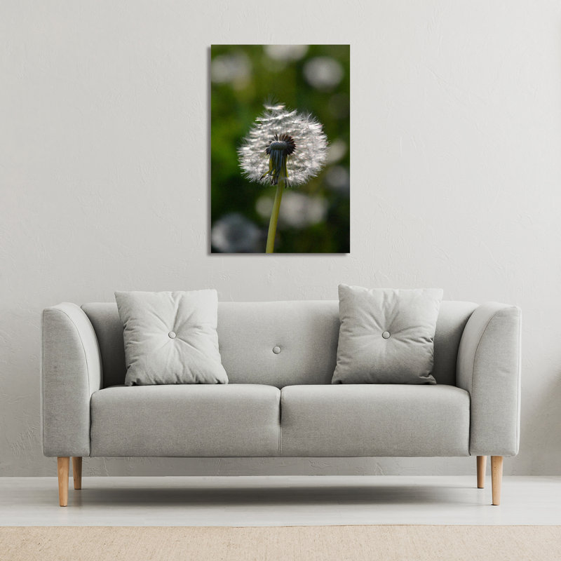 Andrew Lee - Wrapped Canvas Print