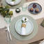Polyester No Pattern Placemat