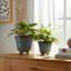 Sagebrook Home Unique Footed Planters, Ivory, 2-Pieces-1780321513