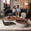 Table basse avec placage, veine en acier inoxydable et rangement intégré, tiroirs