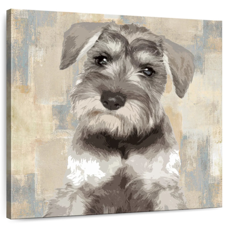 Crowle Miniature Schnauzer