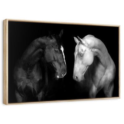 Chevaux monochromes