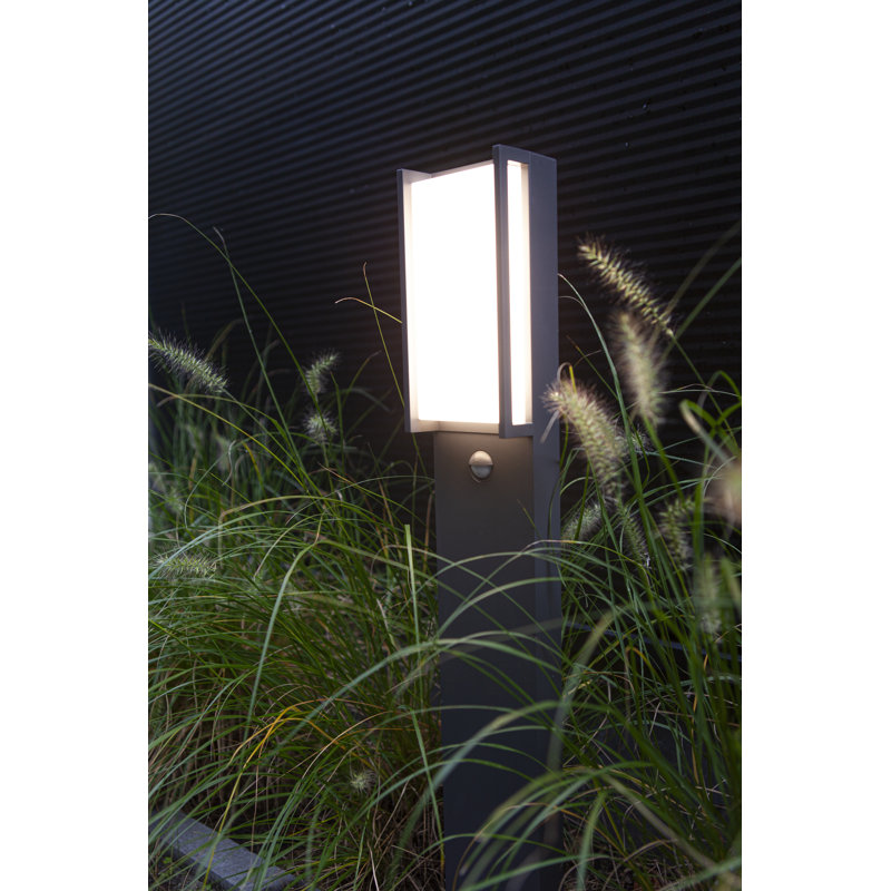 LED path light Axell
