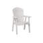 Berlin Gardens Comfo Back Natural Dining Chair-1065492564