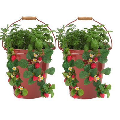 Enameled Galvanized Strawberry, Flower, Herb Planter