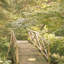 Paz II Print by Karyn Millet-50631824-50631827
