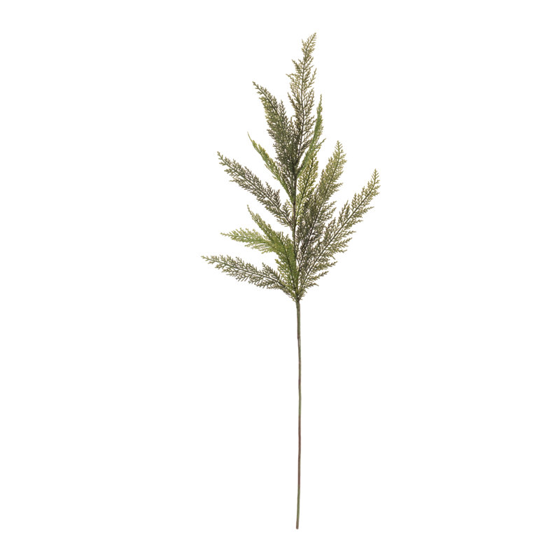 Jet de pin Evergreen (ensemble de 6)