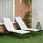 Outsunny Chaise Lounge Outdoor, 2 Piece Lounge Chair With Wheels, Tanning Chair With 5 Adjustable Positions For Patio, Beach, Yard, Pool, Black-230591969