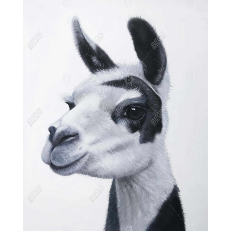 " Black & White Lama "