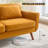 Jadier 66" Upholstered Loveseat Square Sofa-1237332764-1230110786