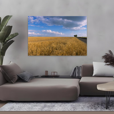 Wheat In A Field North Dakota Usa Abstract Contemporary Landscape Nature Art