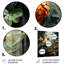 Jungle of Amazonian Dream 1 - Art mural en métal Jungle-101155626