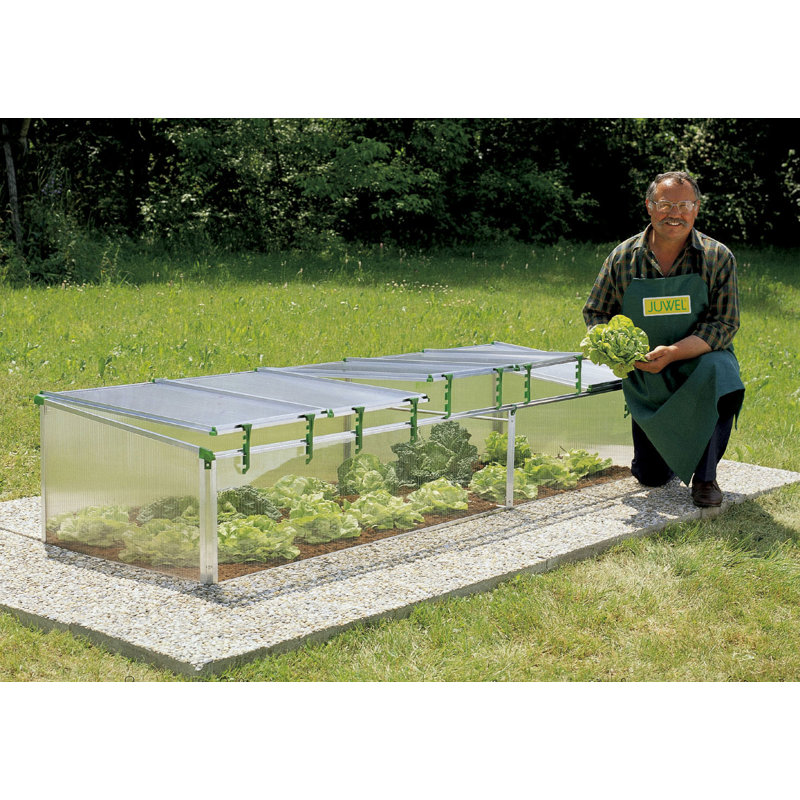 BioStar Cold Frame 31.2" W x 59.04" D