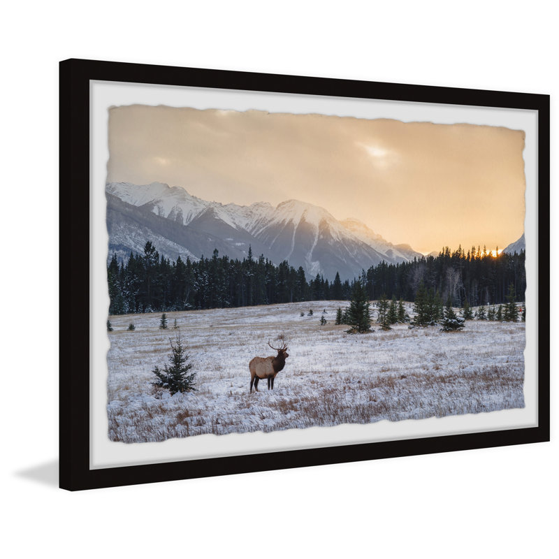 Snowy Winter - Single Picture Frame Print, 38cm H x 45cm W x 3.81cm D