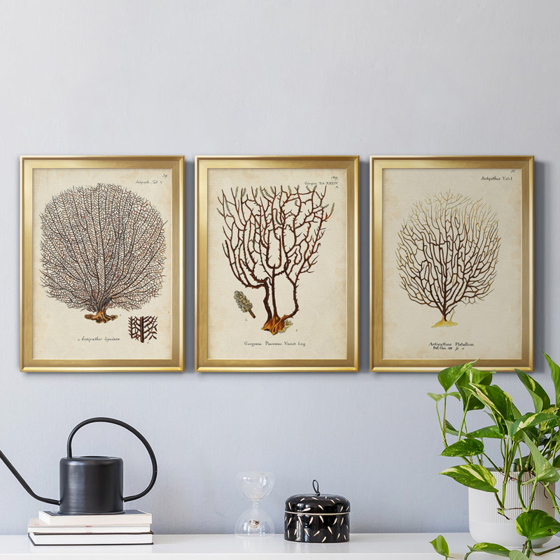 Esper Sea Fans I - ensemble de 3 peintures sur toile encadrées, Doré, H 18,5 po x l 73,5 po x P 1,5 po