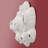 Paleo Barnacle Wall Art-1882632429