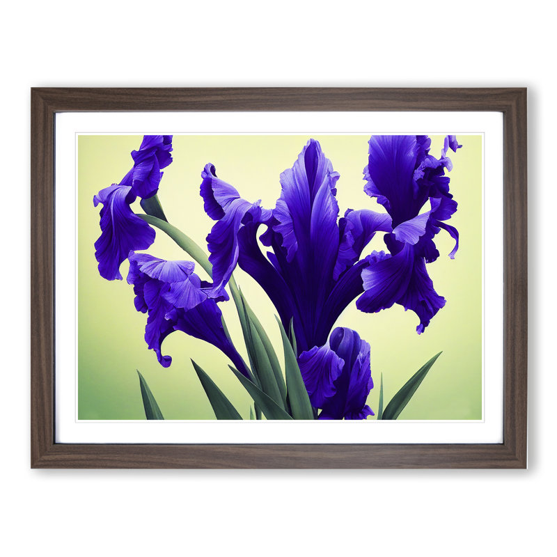 Evolving Iris Flowers - Framed Print, 25cm H x 34cm W x 2cm D, Walnut