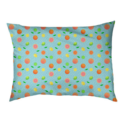Coussin pour chien agrume fruit Byrge