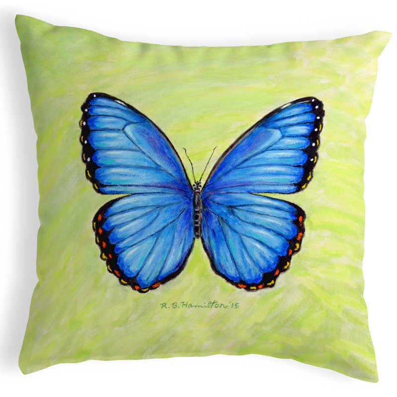  Dick's Morpho Outdoor Square Pillow Cover & Insert