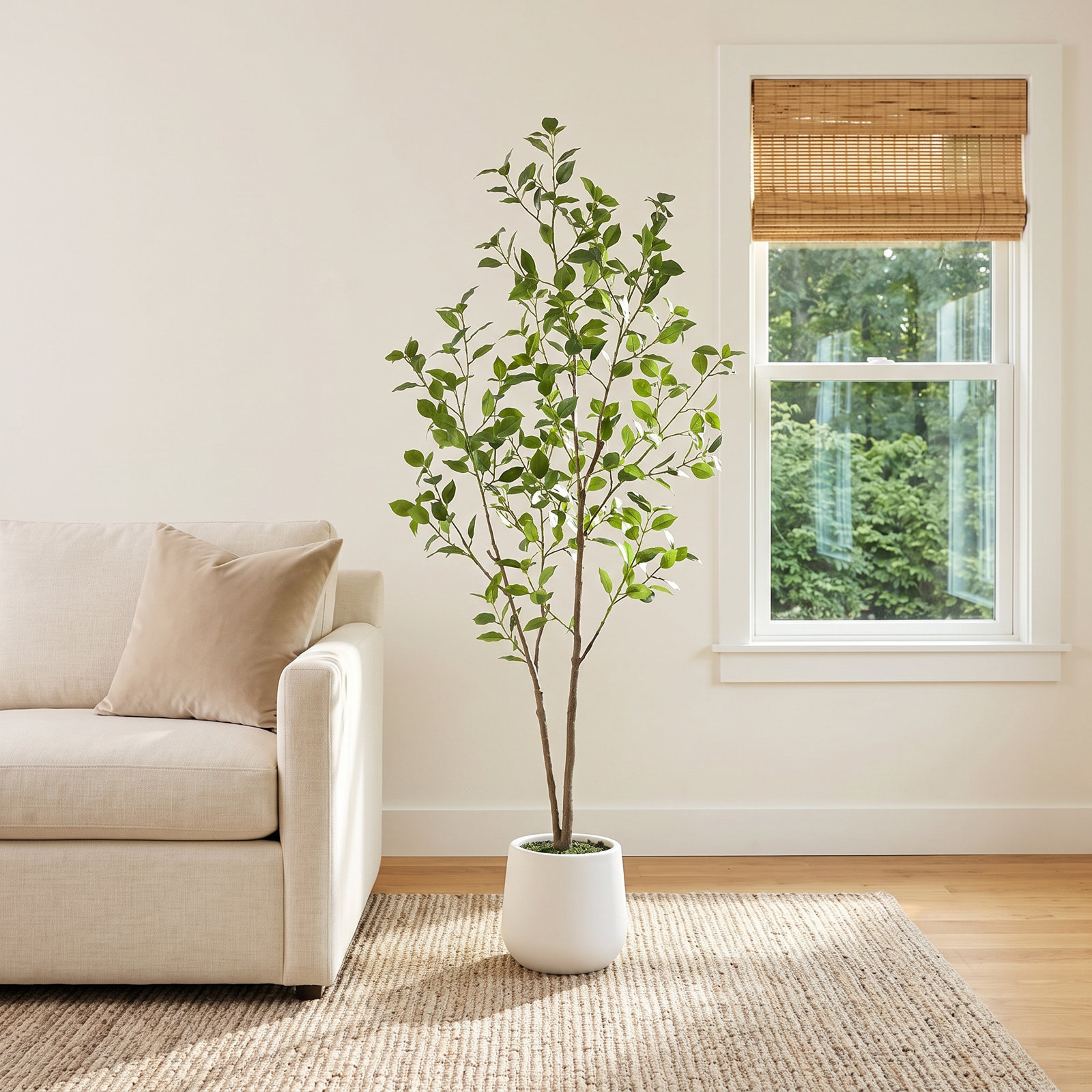 Aniston Ficus Tree in Pot, 60" H x 20" W x 20" D