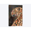 « leopard profile », impression sur toile-33109494-72398124-72398130