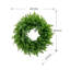Couronne Jayms 20 po