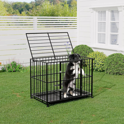 Dog House