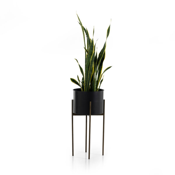 Zed Metal Pot Planter | Joss & Main