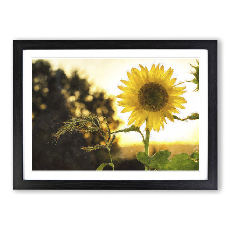 Sunflower Vol.2 - Picture Frame Painting, 48cm H x 65cm W x 2cm D, Black Framed