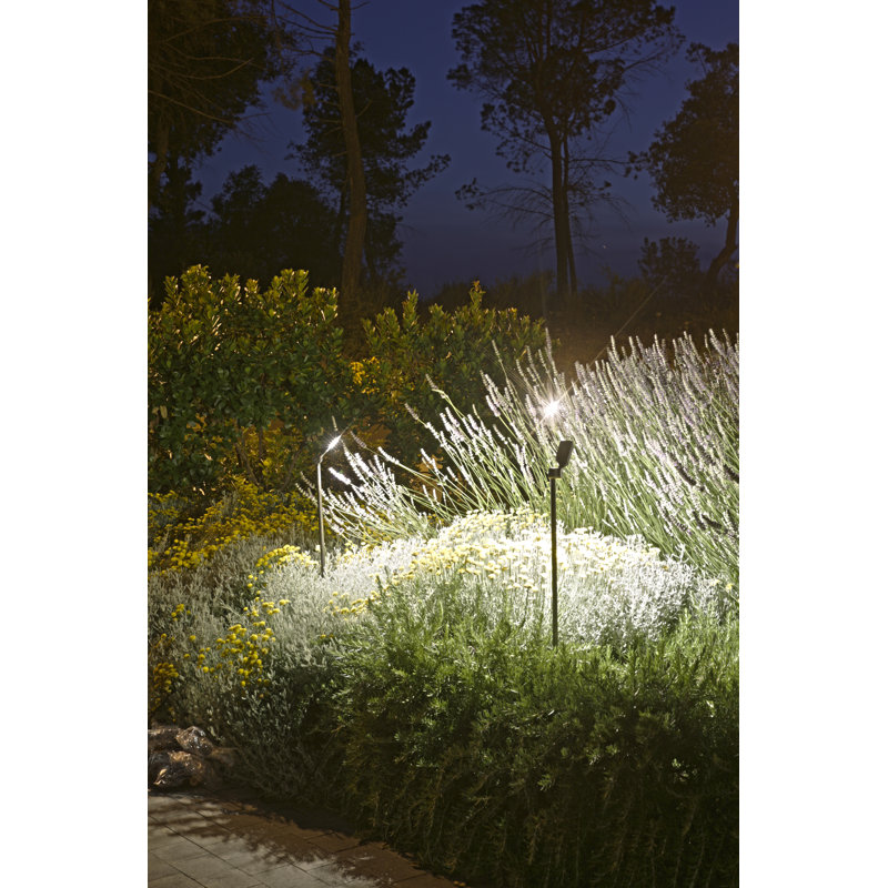 Spiky LED Pathway Light