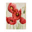 Mid-Century-219446365