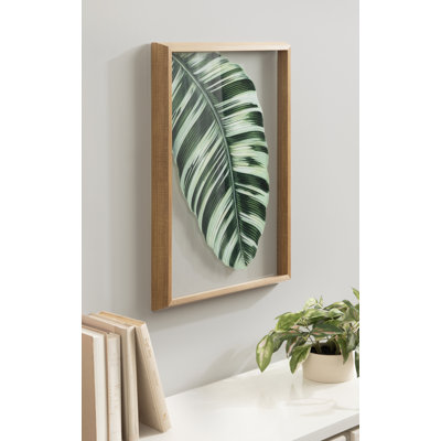 Musa Vittata 1870 Edward Joseph Lowe by Nostalgia Prints Framed Printed Glass Wall Art