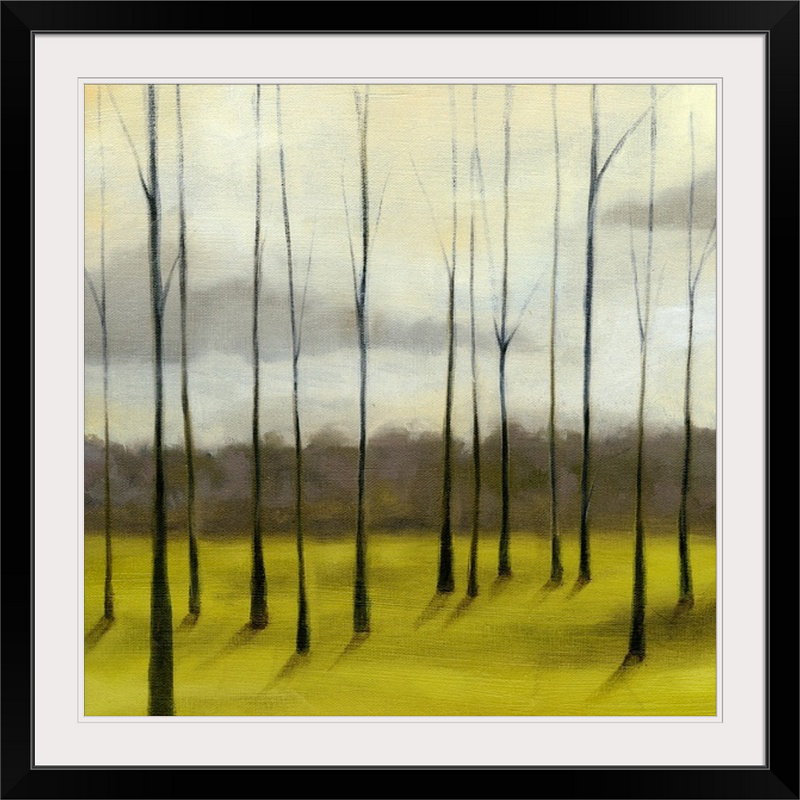 «Sunlit Treeline II» par Jennifer Goldberger, reproduction d'art, H 28 x l 28 po x P 1 po, Cadre noir