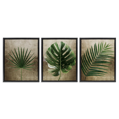 Ensemble de cadre flottant 3 pièces Rustic Earthy Tropical Leaves, design par Anna Lischenko