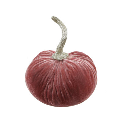 Velours citrouille