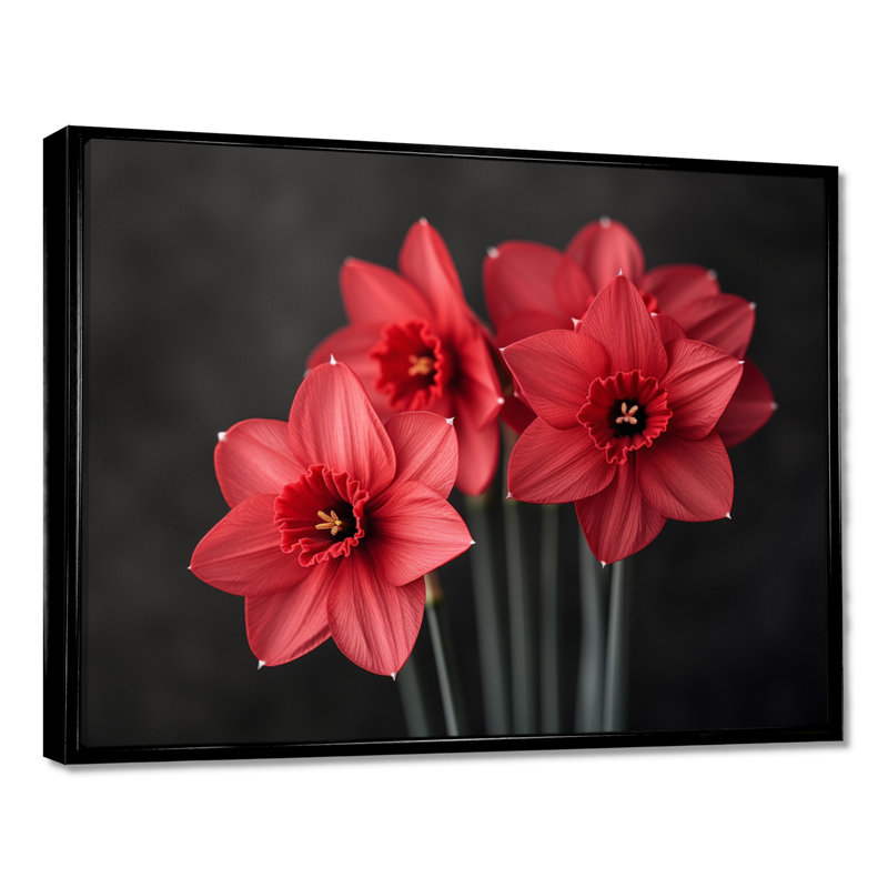 Photo de jonquilles goutte de pluie monochrome noir et rouge - jonquilles murales, H 24 po x l 32 po, Cadre flottant noir