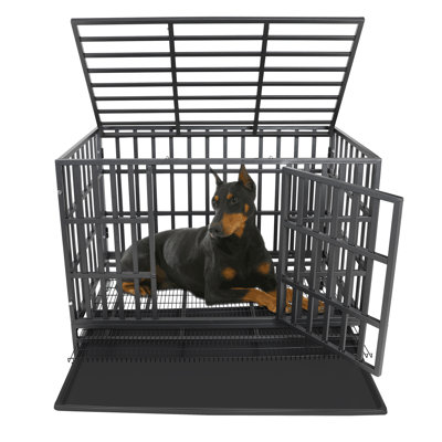 Archie & Oscar Heavy Duty Dog Crate Metal Kennel, Pet Cage With Lockable Wheels, High Anxiety Double Door For Medium Large Dogs