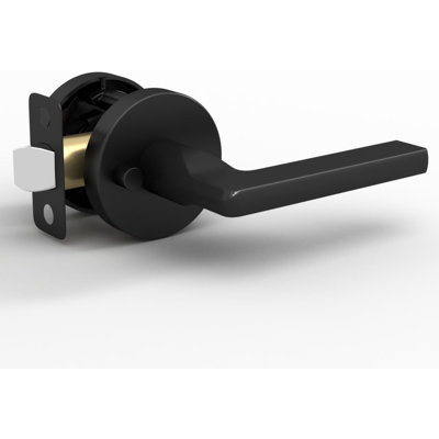 Poignée de porte intérieure réversible Mega Handles RALPH avec rosette ronde pour chambres à coucher, salle de bain et couloir | Serrures de porte modernes en acier inoxydable