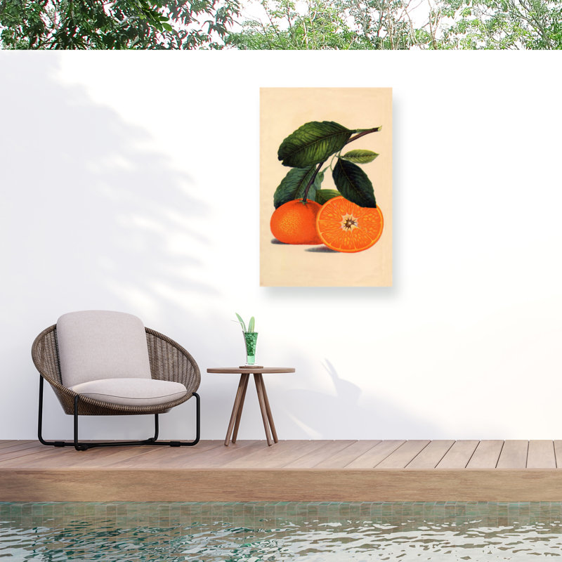Tina Lavoie Satsuma Orange 1887 Outdoor  Canvas, 30" H x 47" W