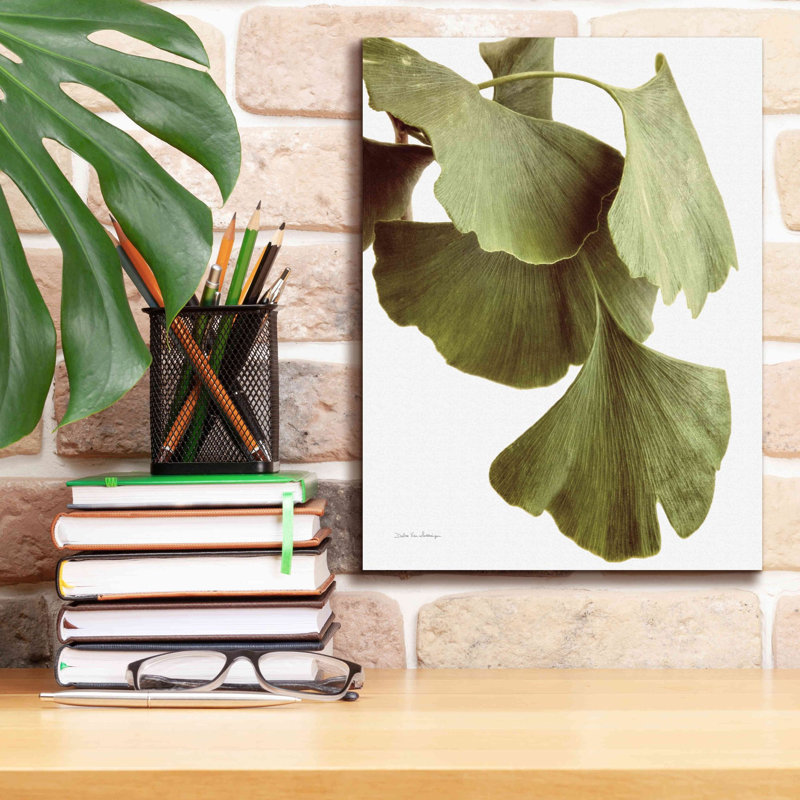 «Ginko Color on White» par Debra Van Swearingen, art mural sur toile, H 16 po x l 12 po x P 0,75 po