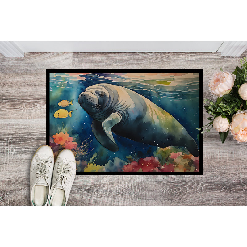 Quisha Non-Slip Doormat, 24" W x 36" L