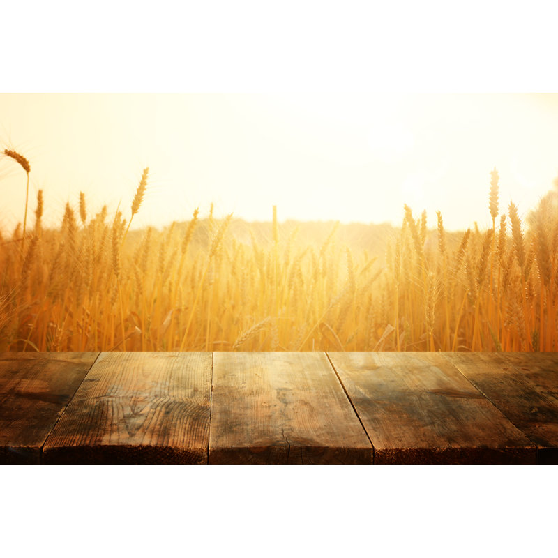 Fields Of Wheat by Tomertu - Wrapped Canvas Print, 30cm H x 46cm W x 3.8cm D