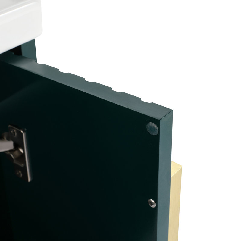 24 Inch Bathroom Vanity With Sink, For Small Bathroom, Bathroom Vanity With Soft Close Door, Green/Silver
